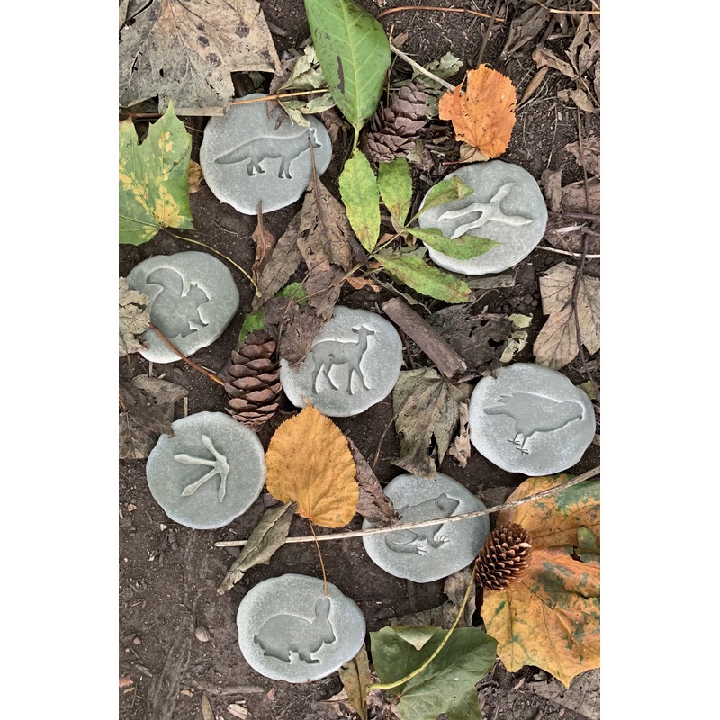 Yellow Door Lets Investigate  Woodland Footprints