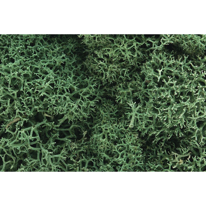WOODLAND SCENICS WL162 LICHEN LIGHT GREEN