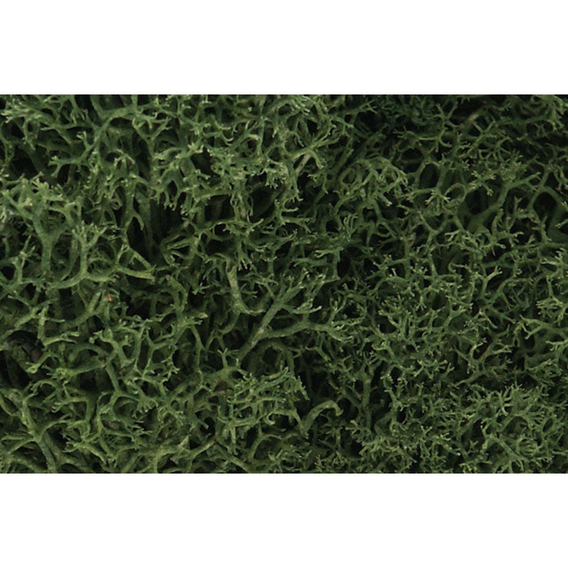 WOODLAND SCENICS WL163 LICHEN MEDIUM GREEN