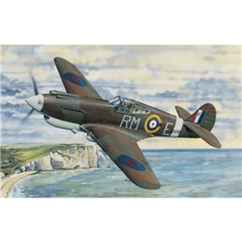 TRUMPETER  02228 British Royal Air Force P-40B Warhawk (Tomahawk Mk IIA) Aircraft  1/32 SCALE